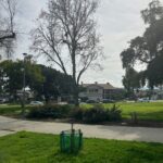 Large Yard
